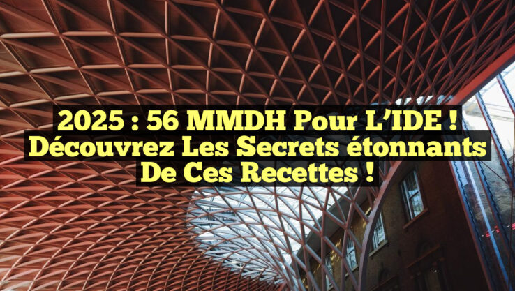 2025 : 56 MMDH pour l’IDE ! Découvrez les secrets étonnants de ces recettes !