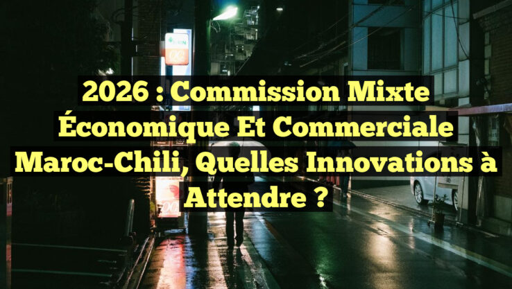 2026 : Commission Mixte Économique et Commerciale Maroc-Chili, Quelles Innovations à Attendre ?