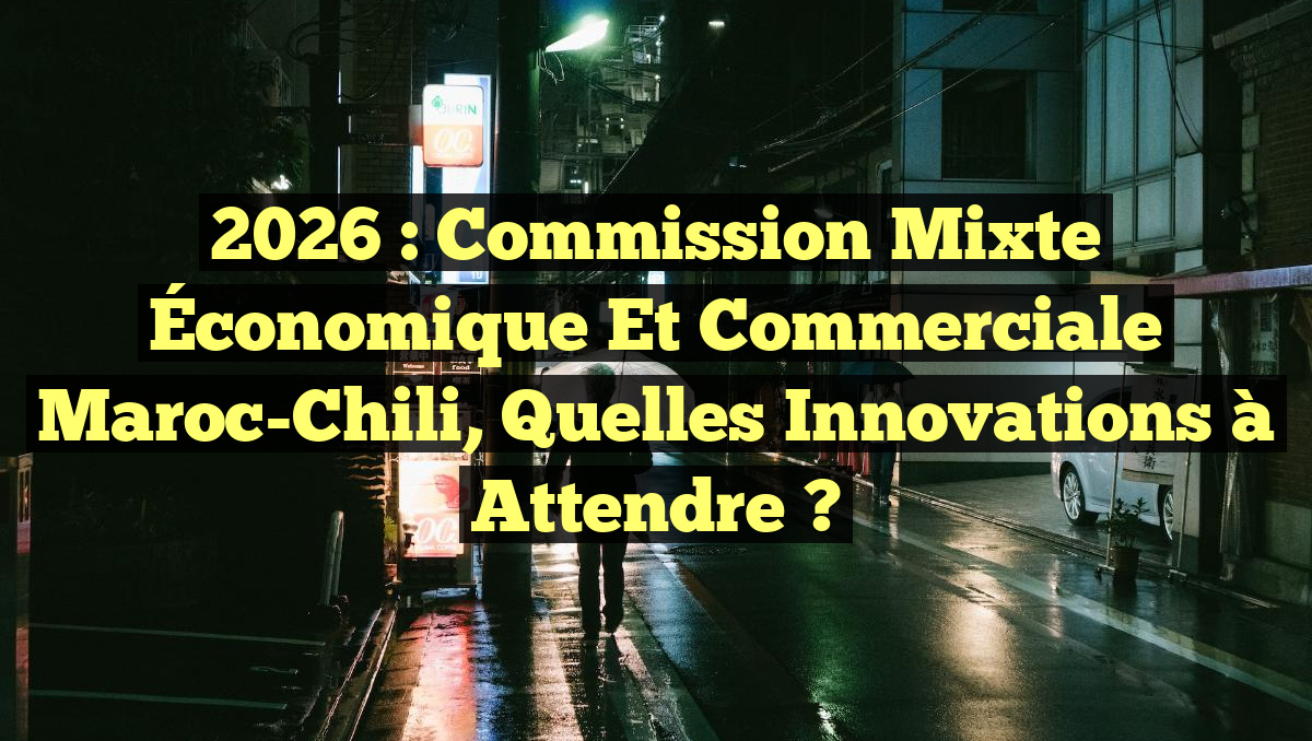 2026 : Commission Mixte Économique et Commerciale Maroc-Chili, Quelles Innovations à Attendre ?