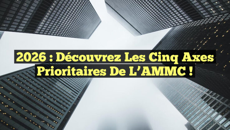 2026 : Découvrez les Cinq Axes Prioritaires de l’AMMC ! 2026 : Découvrez les Cinq Axes Prioritaires de l’AMMC !