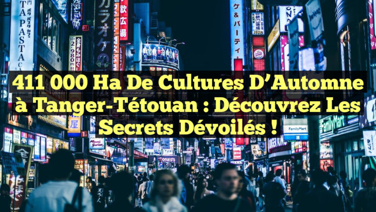 411 000 ha de Cultures d’Automne à Tanger-Tétouan : Découvrez les Secrets Dévoilés !