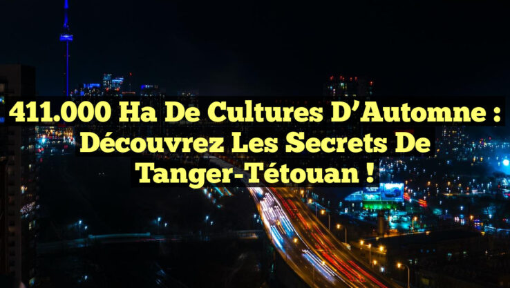 411.000 ha de Cultures d’Automne : Découvrez les Secrets de Tanger-Tétouan !