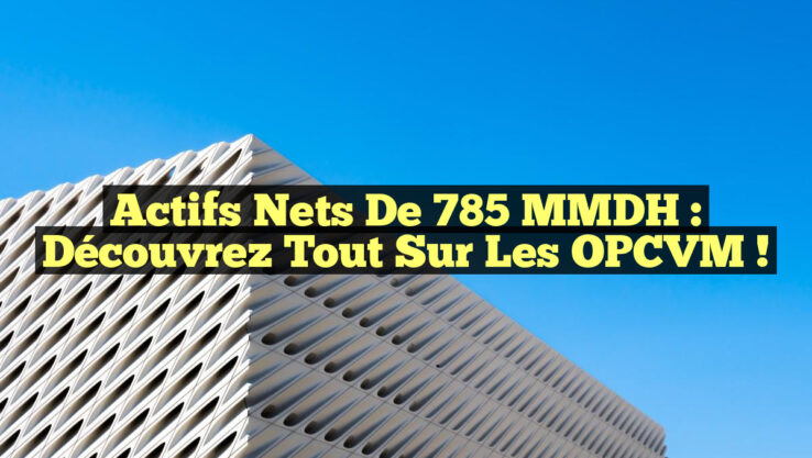 Actifs Nets de 785 MMDH : Découvrez Tout sur les OPCVM ! Actifs Nets de 785 MMDH : Découvrez Tout sur les OPCVM !