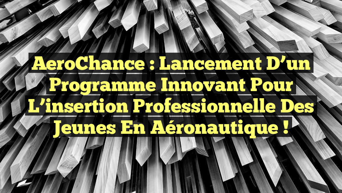 AeroChance :  Lancement d&rsquo;un programme innovant pour l&rsquo;insertion professionnelle des jeunes en aéronautique !