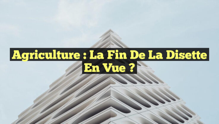 Agriculture : La fin de la disette en vue ?