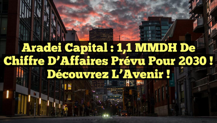 Aradei Capital : 1,1 MMDH de Chiffre d’Affaires Prévu pour 2030 ! Découvrez l’Avenir !