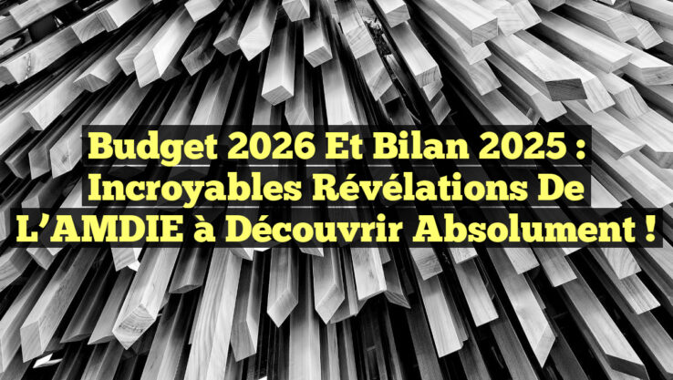 Budget 2026 et Bilan 2025 : Incroyables Révélations de l’AMDIE à Découvrir Absolument ! Budget 2026 et Bilan 2025 : Incroyables Révélations de l’AMDIE à Découvrir Absolument !