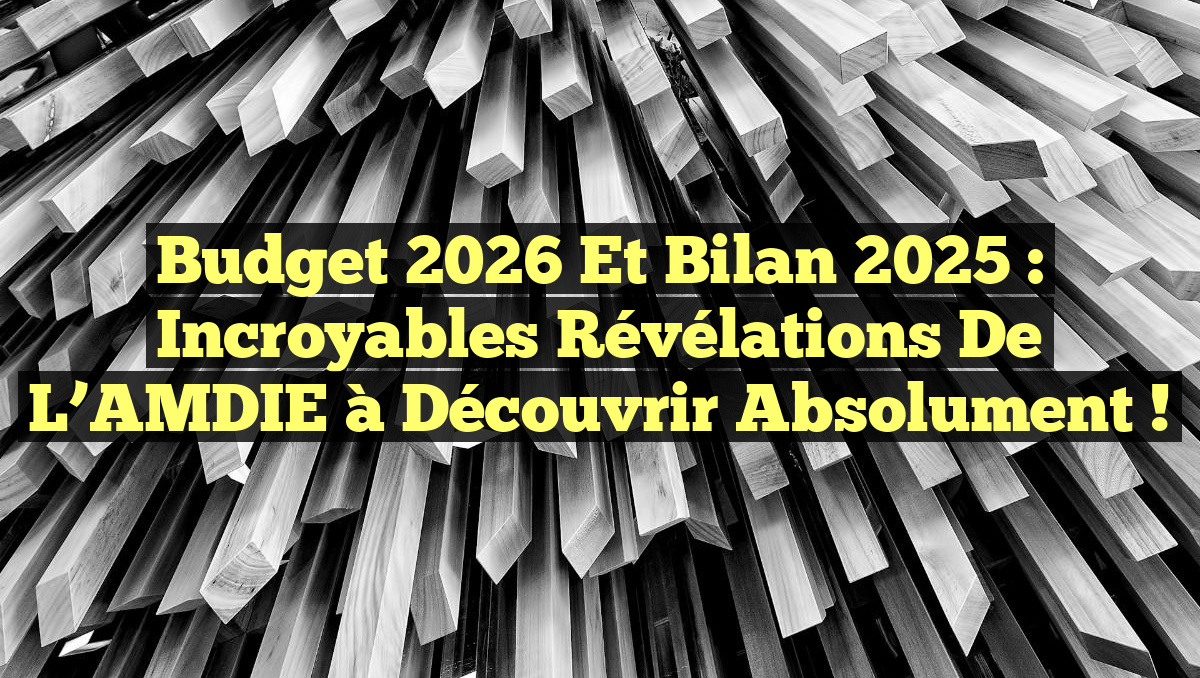 Budget 2026 et Bilan 2025 : Incroyables Révélations de l&rsquo;AMDIE à Découvrir Absolument !