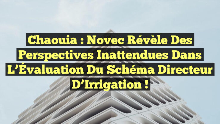 Chaouia : Novec Révèle des Perspectives Inattendues dans l’Évaluation du Schéma Directeur d’Irrigation !