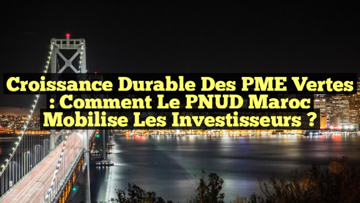 Croissance Durable des PME Vertes : Comment le PNUD Maroc Mobilise les Investisseurs ?