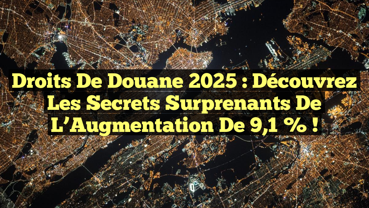 Droits de Douane 2025 : Découvrez les Secrets Surprenants de l&rsquo;Augmentation de 9,1 % !