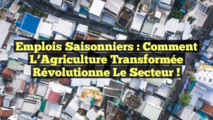 Emplois Saisonniers : Comment l’Agriculture Transformée Révolutionne le Secteur !