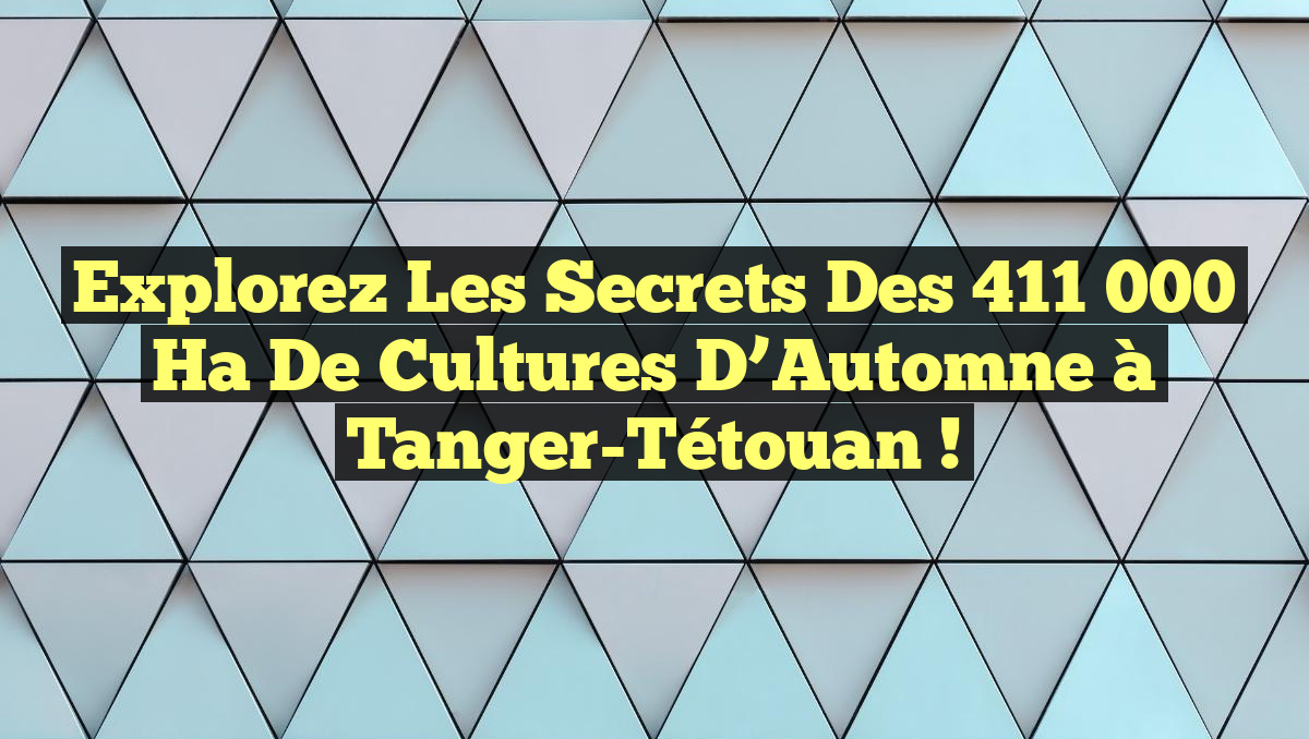 Explorez les Secrets des 411 000 Ha de Cultures d&rsquo;Automne à Tanger-Tétouan !