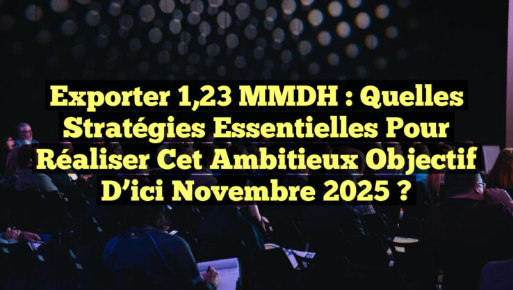 Exporter 1,23 MMDH : Quelles Stratégies Essentielles Pour Réaliser cet Ambitieux Objectif d’ici Novembre 2025 ?
