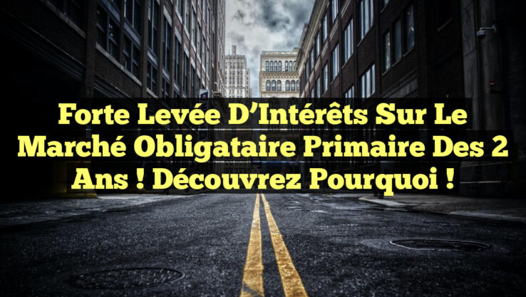 Forte Levée d’Intérêts sur le Marché Obligataire Primaire des 2 Ans ! Découvrez Pourquoi ! Forte Levée d’Intérêts sur le Marché Obligataire Primaire des 2 Ans ! Découvrez Pourquoi !