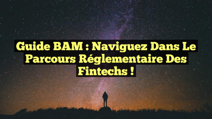Guide BAM : Naviguez dans le Parcours Réglementaire des Fintechs !
