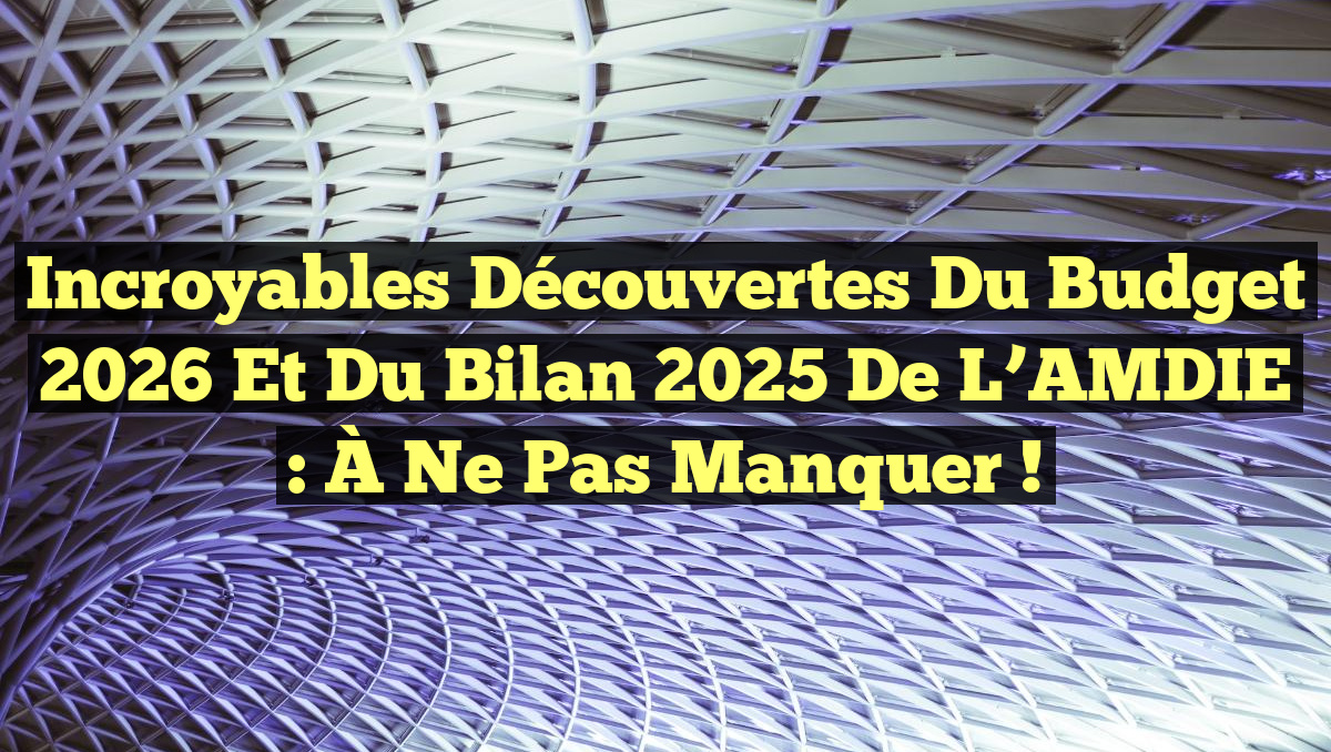 Incroyables Découvertes du Budget 2026 et du Bilan 2025 de l’AMDIE : À Ne Pas Manquer !