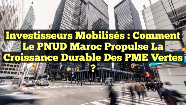 Investisseurs Mobilisés : Comment le PNUD Maroc Propulse la Croissance Durable des PME Vertes ?