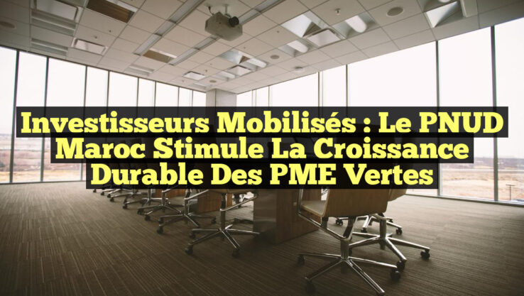 Investisseurs Mobilisés : Le PNUD Maroc Stimule la Croissance Durable des PME Vertes