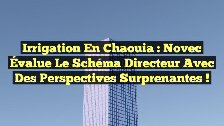 Irrigation en Chaouia : Novec Évalue le Schéma Directeur avec des Perspectives Surprenantes !