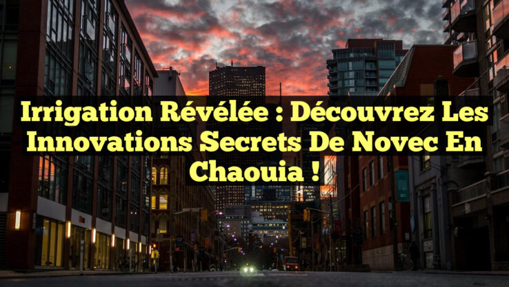 Irrigation Révélée : Découvrez les Innovations Secrets de Novec en Chaouia !