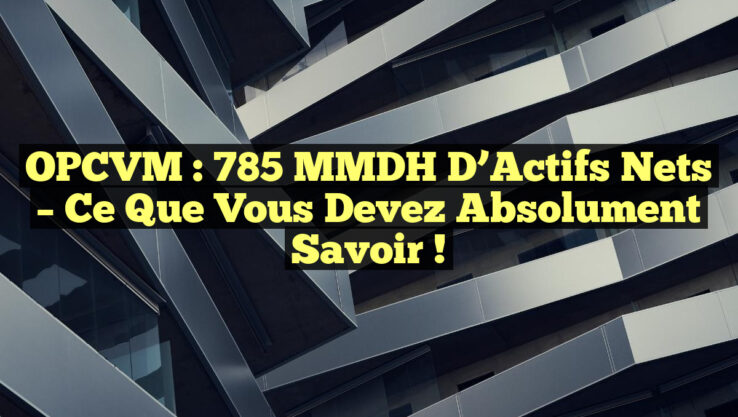 OPCVM : 785 MMDH d’Actifs Nets – Ce Que Vous Devez Absolument Savoir ! OPCVM : 785 MMDH d’Actifs Nets – Ce Que Vous Devez Absolument Savoir !