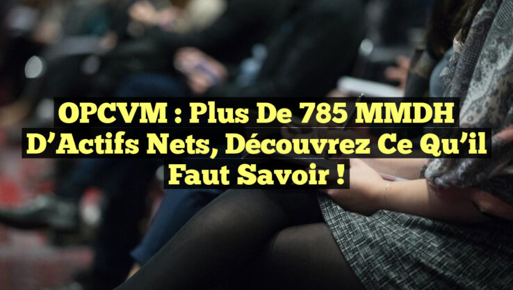 OPCVM : Plus de 785 MMDH d’Actifs Nets, Découvrez ce Qu’il Faut Savoir ! OPCVM : Plus de 785 MMDH d’Actifs Nets, Découvrez ce Qu’il Faut Savoir !