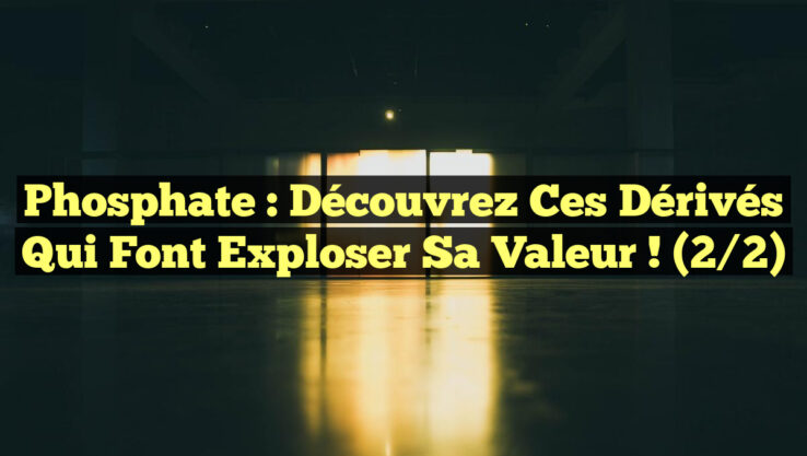 Phosphate : Découvrez ces dérivés qui font exploser sa valeur ! (2/2)