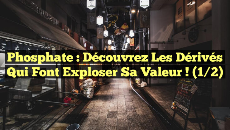 Phosphate : Découvrez les dérivés qui font exploser sa valeur ! (1/2)