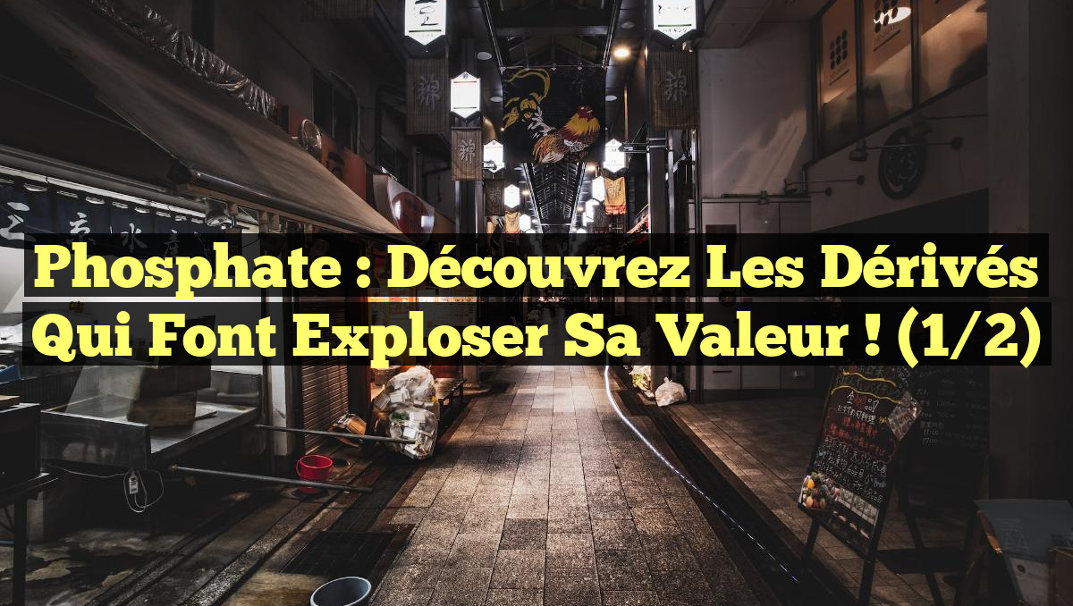 Phosphate : Découvrez les dérivés qui font exploser sa valeur ! (1/2)