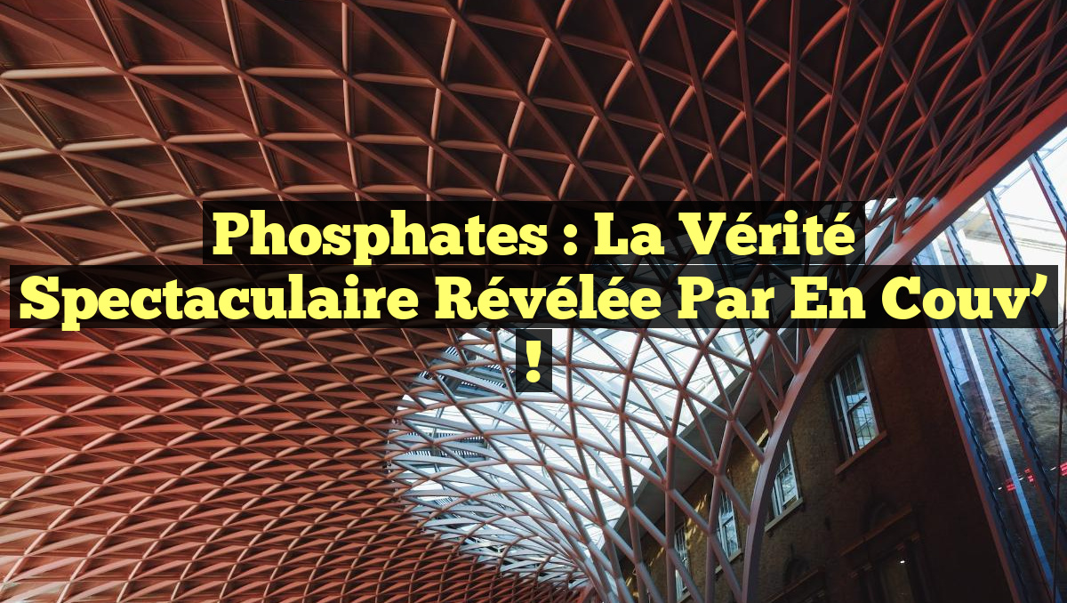 Phosphates : La Vérité Spectaculaire Révélée par En Couv’ !