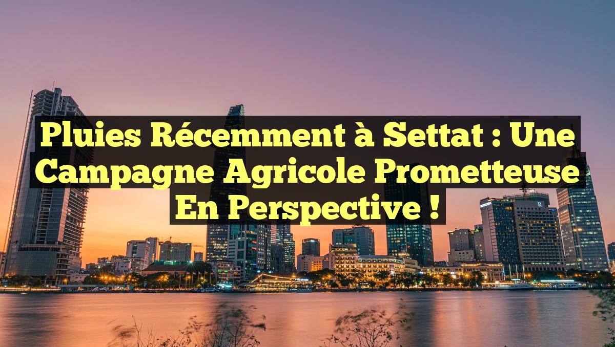 Pluies Récemment à Settat : Une Campagne Agricole Prometteuse en Perspective !