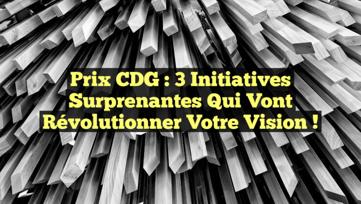 Prix CDG : 3 Initiatives Surprenantes Qui Vont Révolutionner Votre Vision ! Prix CDG : 3 Initiatives Surprenantes Qui Vont Révolutionner Votre Vision !