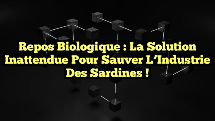 Repos Biologique : La Solution Inattendue pour Sauver l’Industrie des Sardines !