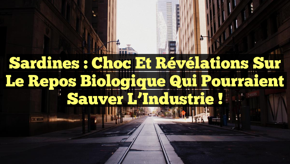Sardines : Choc et Révélations sur le Repos Biologique qui Pourraient Sauver l&rsquo;Industrie !