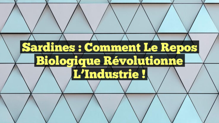 Sardines : Comment le Repos Biologique Révolutionne l’Industrie !