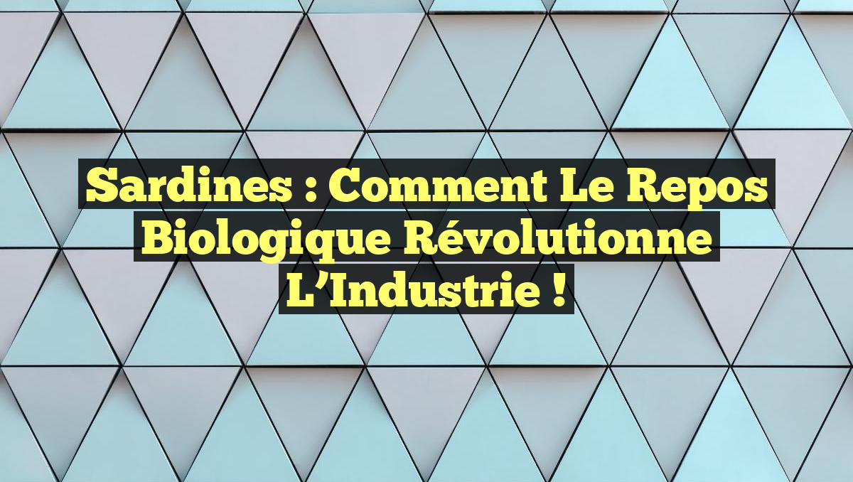 Sardines : Comment le Repos Biologique Révolutionne l’Industrie !