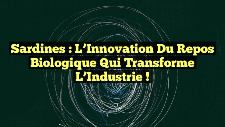 Sardines : L’Innovation du Repos Biologique qui Transforme l’Industrie !