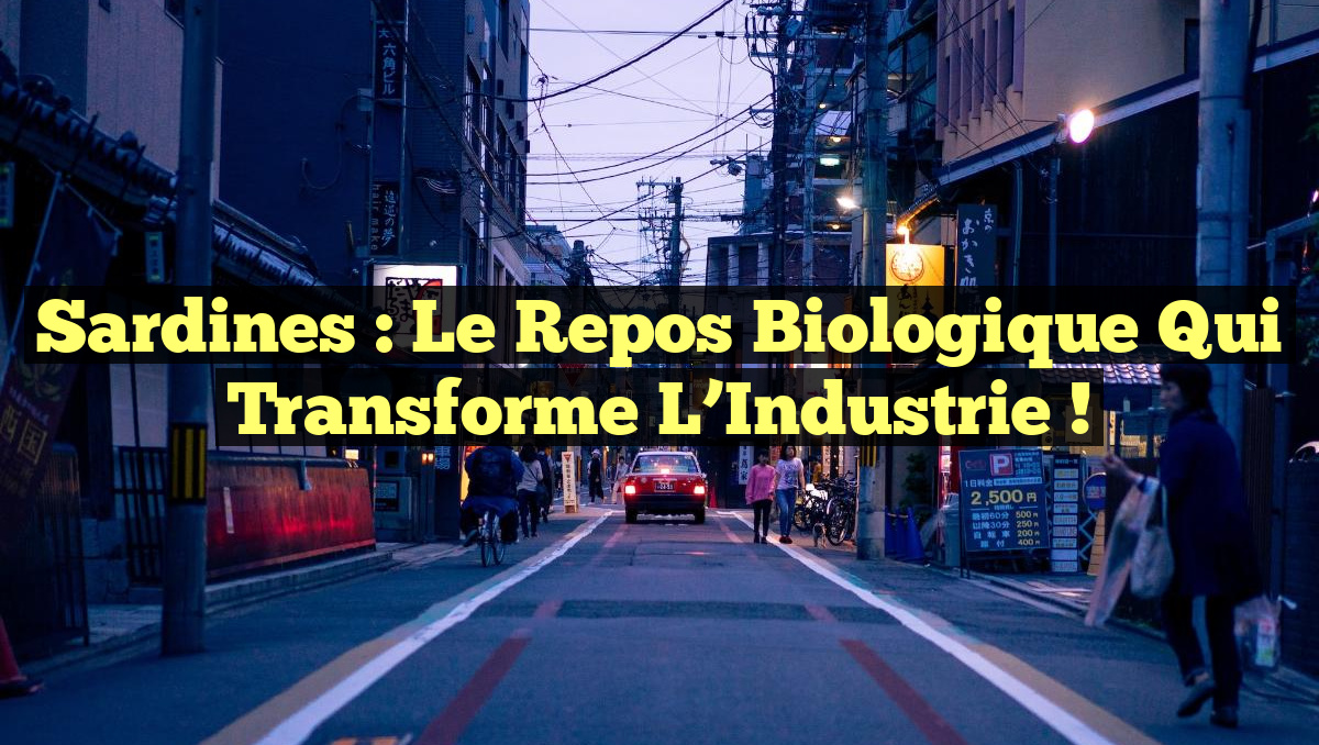 Sardines : Le Repos Biologique qui Transforme l’Industrie !