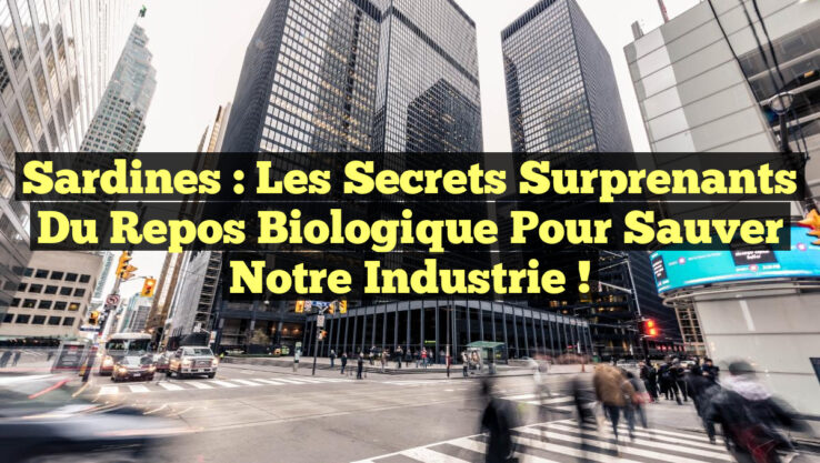 Sardines : Les Secrets Surprenants du Repos Biologique pour Sauver Notre Industrie ! Sardines : Les Secrets Surprenants du Repos Biologique pour Sauver Notre Industrie !