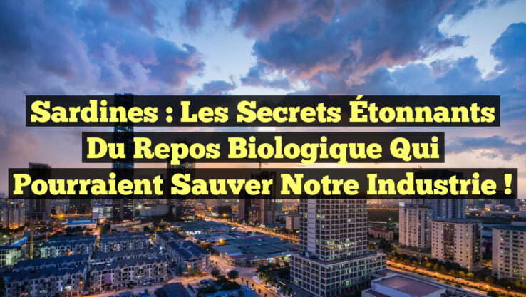 Sardines : Les Secrets Étonnants du Repos Biologique qui Pourraient Sauver notre Industrie ! Sardines : Les Secrets Étonnants du Repos Biologique qui Pourraient Sauver notre Industrie !