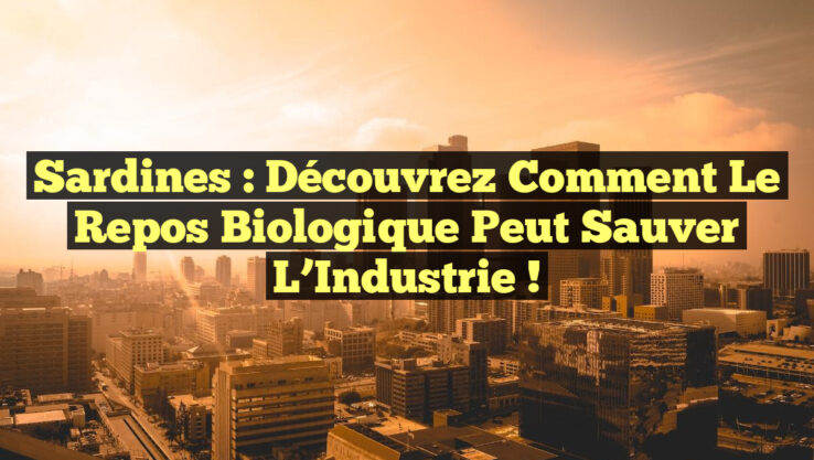 Sardines : Découvrez Comment le Repos Biologique Peut Sauver l’Industrie ! Sardines : Découvrez Comment le Repos Biologique Peut Sauver l’Industrie !