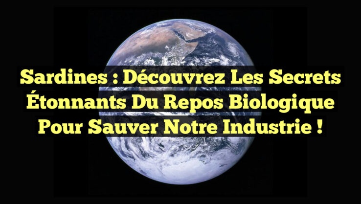 Sardines : Découvrez les Secrets Étonnants du Repos Biologique pour Sauver notre Industrie ! Sardines : Découvrez les Secrets Étonnants du Repos Biologique pour Sauver notre Industrie !