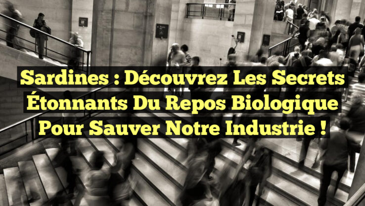 Sardines : Découvrez les Secrets Étonnants du Repos Biologique pour Sauver notre Industrie !
