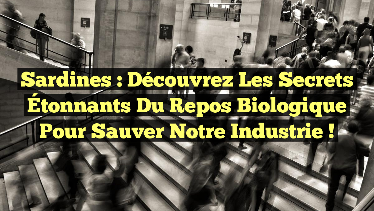 Sardines : Découvrez les Secrets Étonnants du Repos Biologique pour Sauver notre Industrie !
