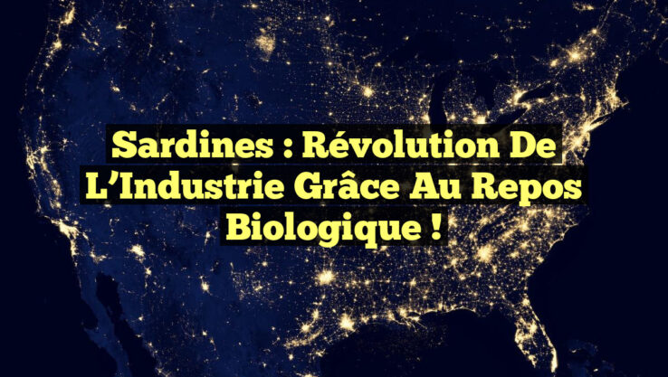 Sardines : Révolution de l’Industrie grâce au Repos Biologique !