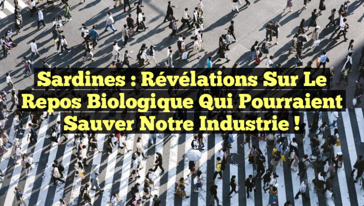 Sardines : Révélations Sur le Repos Biologique qui Pourraient Sauver notre Industrie !
