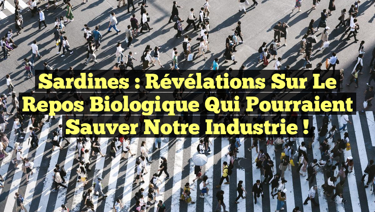 Sardines : Révélations Sur le Repos Biologique qui Pourraient Sauver notre Industrie !