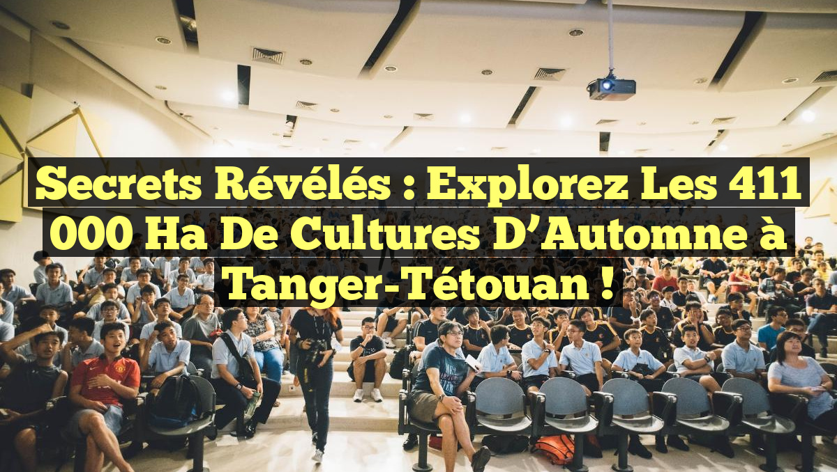 Secrets Révélés : Explorez les 411 000 Ha de Cultures d’Automne à Tanger-Tétouan !