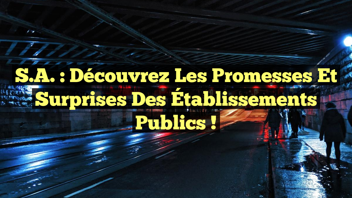 S.A. : Découvrez les Promesses et Surprises des Établissements Publics !